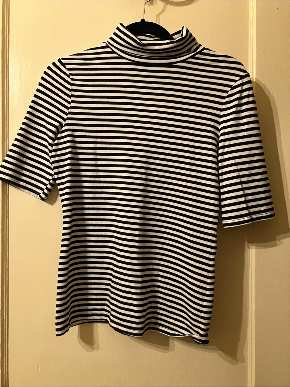 Striped Turtleneck Shirt